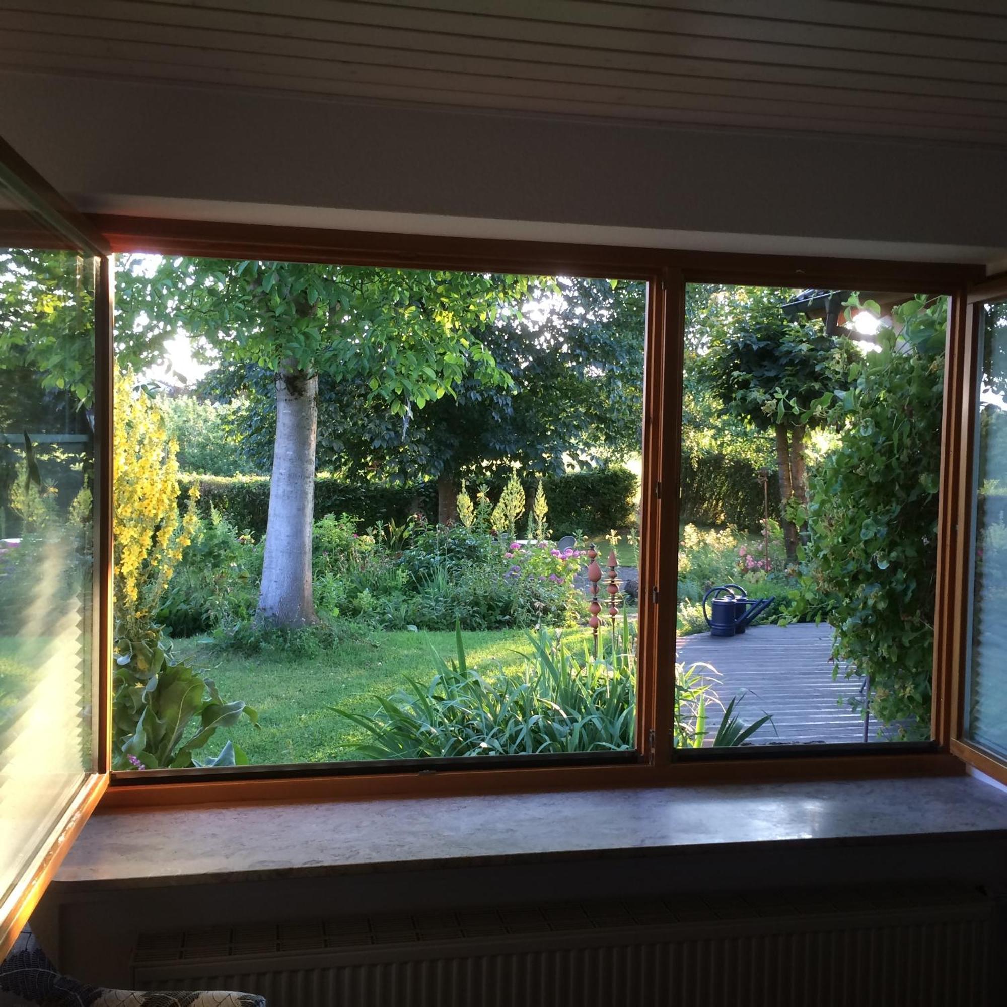Ferienwohnung Bluetenweg Kluftern Friedrichshafen Bagian luar foto