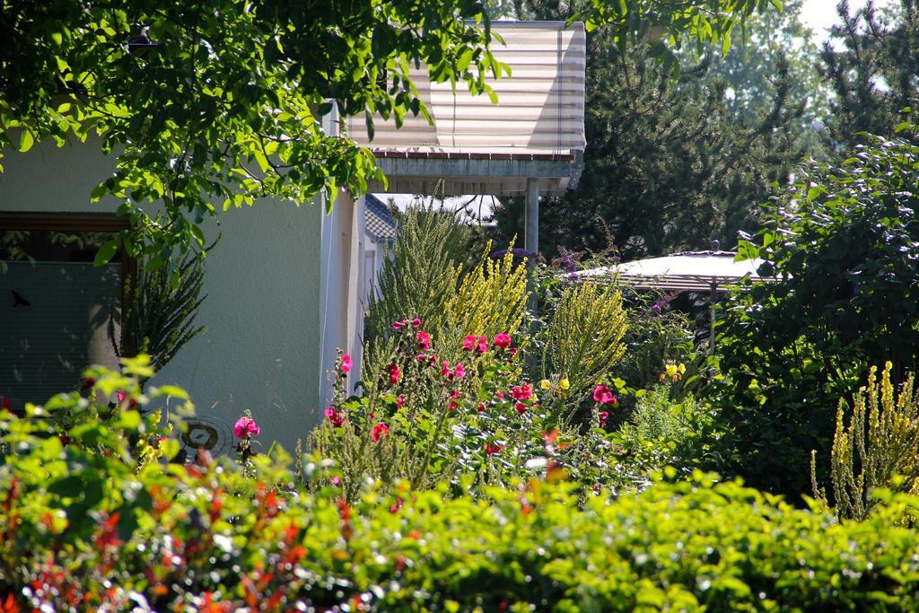 Ferienwohnung Bluetenweg Kluftern Friedrichshafen Bagian luar foto